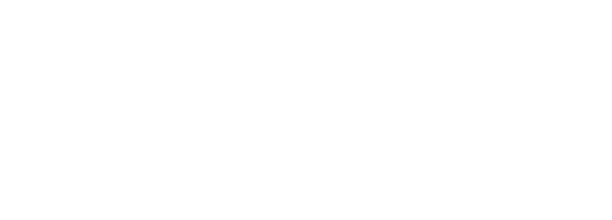 Torro Media